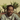 Earl Sweatshirt  -  Live Laugh Love  -  Vinyl LP