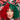 Every Day Is Christmas