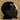 John Legend  -  Get Lifted  -  Vinyl LP