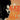Alice Coltrane  -  The Carnegie Hall Concert  -  Vinyl LP