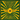 The Claypool Lennon Delirium - The Great Parrot-Ox and the Golden Egg of Empathy