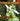 REANIMATION