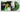 Green Vinyl LP