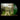RSD Stores Exclusive Forest Green Vinyl 1LP