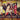 The Darkness - Crock Of Hits
