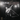 In Concert – Brandeis University 1963