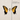 Paramore  -  Brand New Eyes  -  Vinyl LP